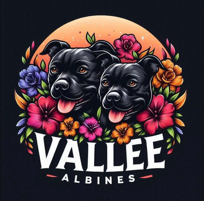 𝐕𝐚𝐥𝐥𝐞𝐞 𝐀𝐥𝐛𝐢𝐧𝐞𝐬 Low 1 Broderie